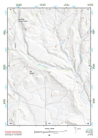 46110NE Page 89 White Sulphur Springs Topo Preview 1