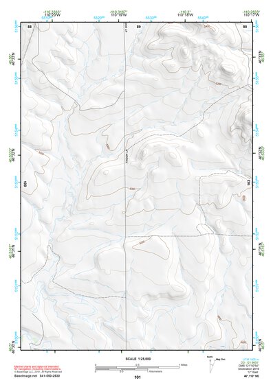 46110NE Page 101 White Sulphur Springs Topo Preview 1