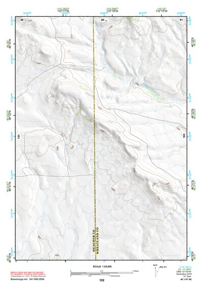 46110NE Page 102 White Sulphur Springs Topo Preview 1