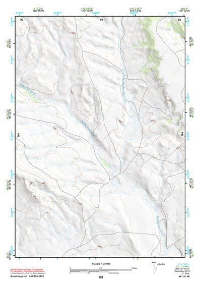 46110NE Page 103 White Sulphur Springs Topo Preview 1
