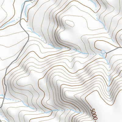 46110SE Page 24 Ringling Topo Preview 3