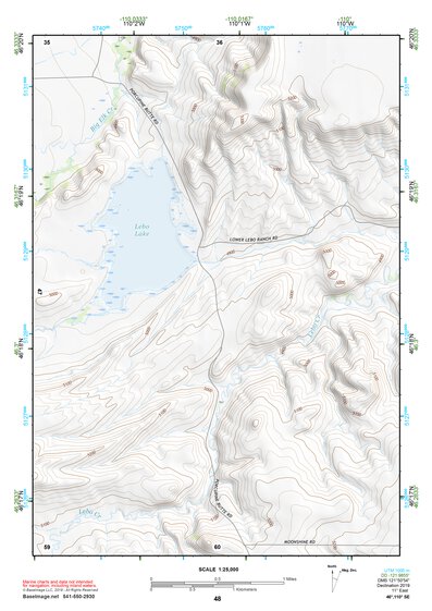 46110SE Page 48 Ringling Topo Preview 1