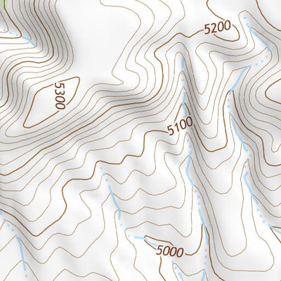 46110SE Page 48 Ringling Topo Preview 3