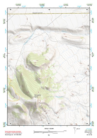 46110SE Page 71 Ringling Topo Preview 1