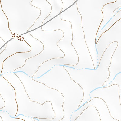 46110SE Page 72 Ringling Topo Preview 2