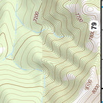 46110SE Page 78 Ringling Topo Preview 3