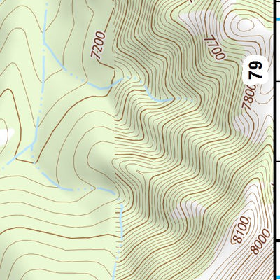 46110SE Page 78 Ringling Topo Preview 3