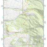 46110SE Page 85 Ringling Topo Preview 1