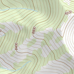 46110SE Page 99 Ringling Topo Preview 3