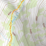 46110SE Page 100 Ringling Topo Preview 3