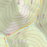 46110SW Page 47 Ringling Topo Preview 3
