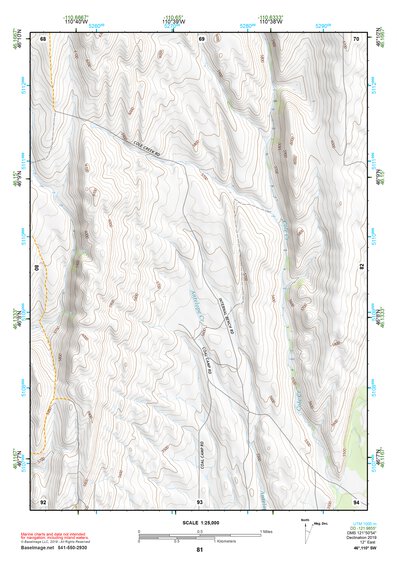 46110SW Page 81 Ringling Topo Preview 1