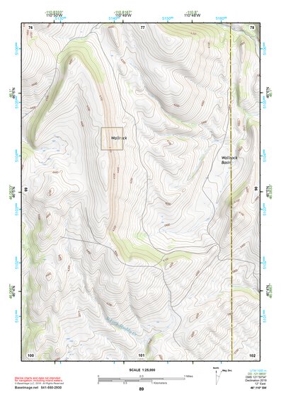 46110SW Page 89 Ringling Topo Preview 1