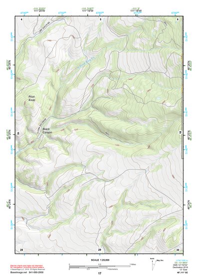 46111SE Page 17 Townsend Topo Preview 1
