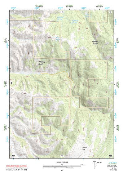 46111SE Page 90 Townsend Topo Preview 1