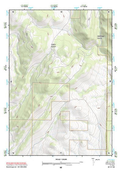 46111SW Page 65 Townsend Topo Preview 1