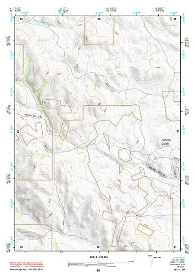46111SW Page 68 Townsend Topo Preview 1