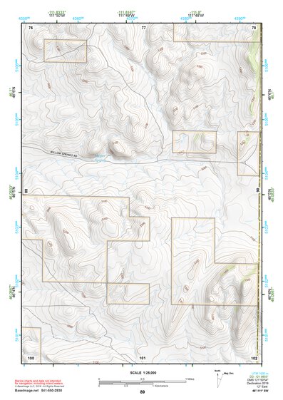 46111SW Page 89 Townsend Topo Preview 1
