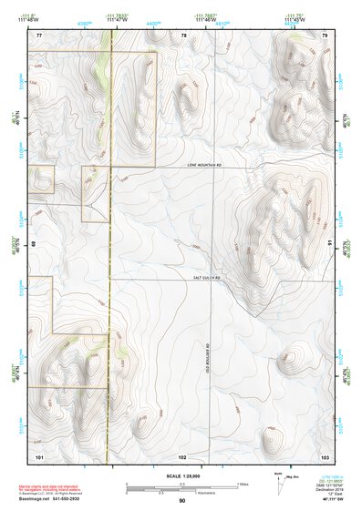46111SW Page 90 Townsend Topo Preview 1
