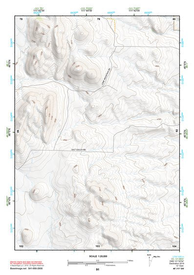 46111SW Page 91 Townsend Topo Preview 1