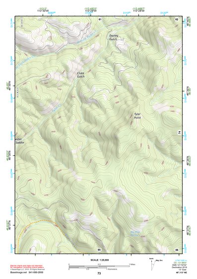 46113NE Page 73 Missoula East Topo Preview 1
