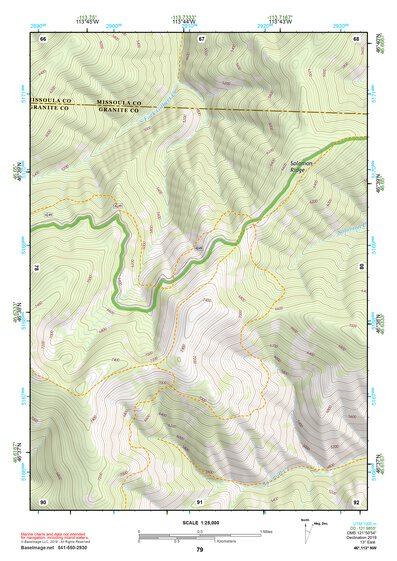 46113NW Page 79 Missoula East Topo Preview 1