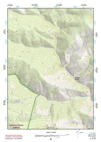 46113NW Page 90 Missoula East Topo Preview 1