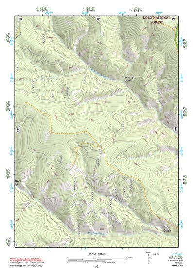 46113NW Page 101 Missoula East Topo Preview 1