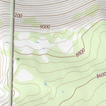 46113SE Page 93 Philipsburg Topo Preview 2