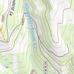 46113SE Page 107 Philipsburg Topo Preview 3