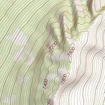 46114SE Page 4 Hamilton Topo Preview 3