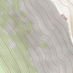 46114SE Page 75 Hamilton Topo Preview 3