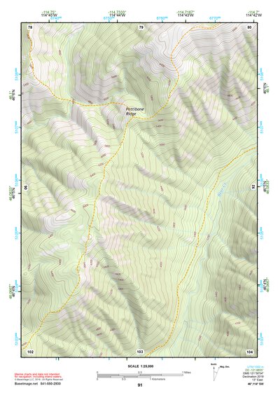 46114SW Page 91 Hamilton Topo Preview 1
