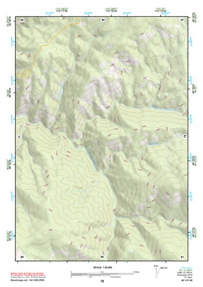 46115NE Page 78 Headquarters Topo Preview 1