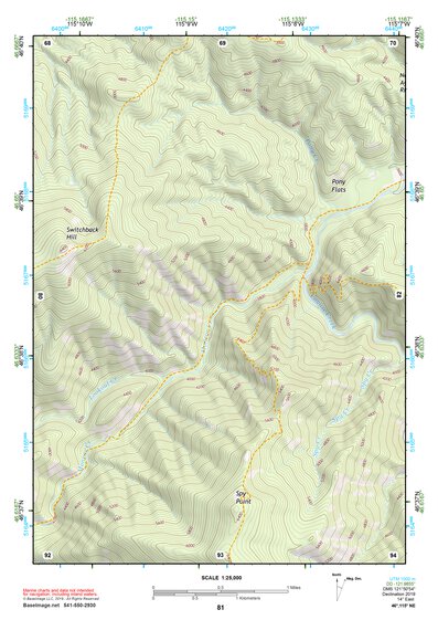 46115NE Page 81 Headquarters Topo Preview 1