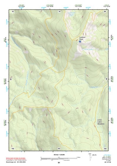 46115NE Page 91 Headquarters Topo Preview 1