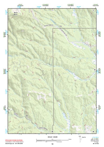 46116NE Page 13 Potlatch Topo Preview 1