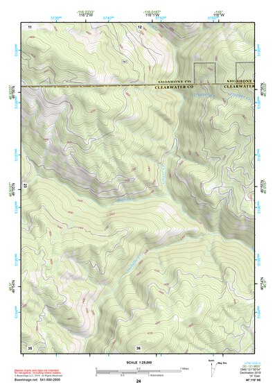 46116NE Page 24 Potlatch Topo Preview 1