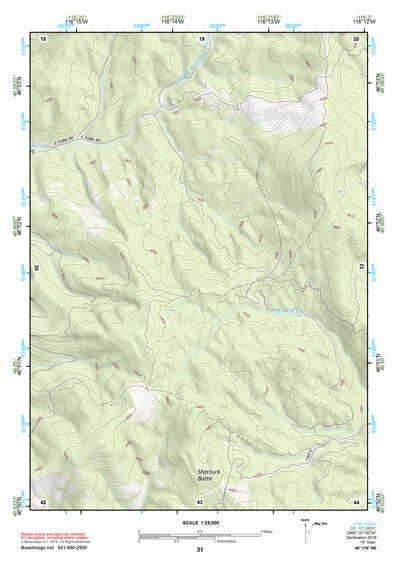 46116NE Page 31 Potlatch Topo Preview 1
