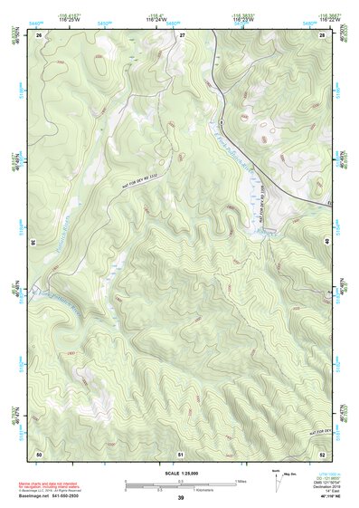 46116NE Page 39 Potlatch Topo Preview 1