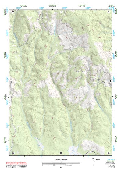 46116NE Page 43 Potlatch Topo Preview 1