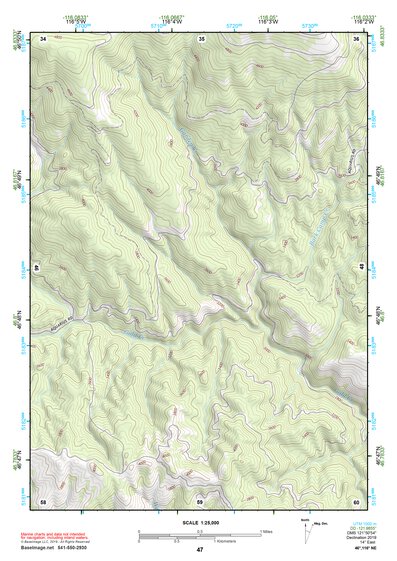 46116NE Page 47 Potlatch Topo Preview 1