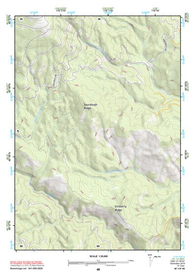 46116NE Page 48 Potlatch Topo Preview 1