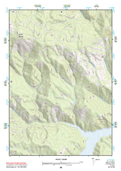 46116NE Page 60 Potlatch Topo Preview 1