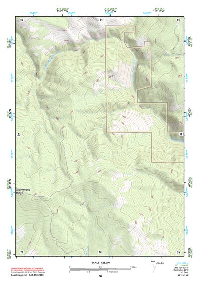 46116NE Page 66 Potlatch Topo Preview 1