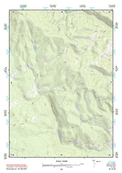 46116NE Page 71 Potlatch Topo Preview 1