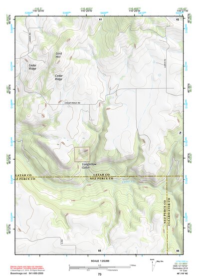 46116NE Page 73 Potlatch Topo Preview 1