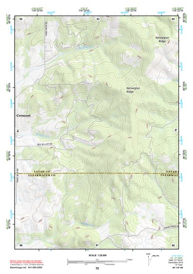 46116NE Page 75 Potlatch Topo Preview 1