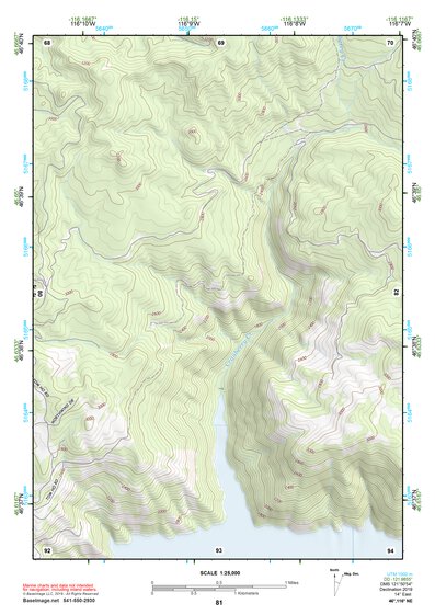 46116NE Page 81 Potlatch Topo Preview 1