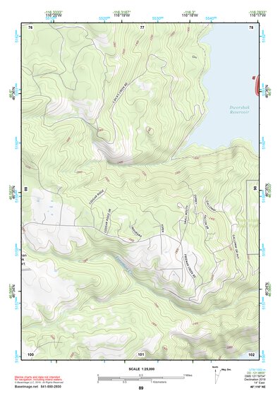 46116NE Page 89 Potlatch Topo Preview 1